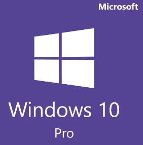 Windows 10 Professional License
