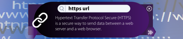 Double-check For "HTTPS" On Websites URL