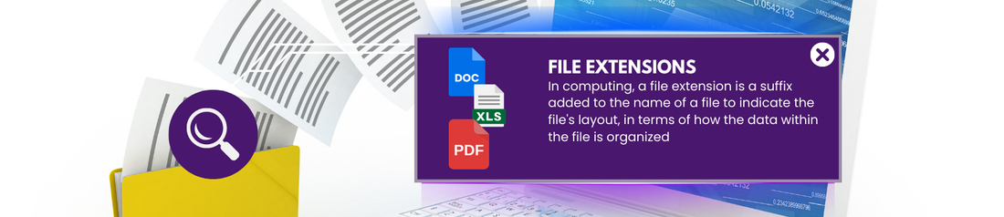 Search with File Extensions