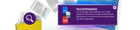 Search with File Extensions